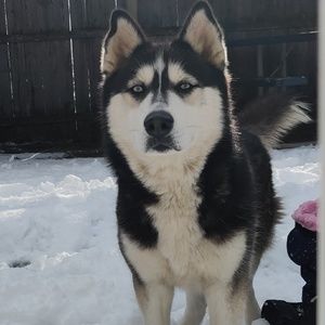 Meet your Posher, Nick